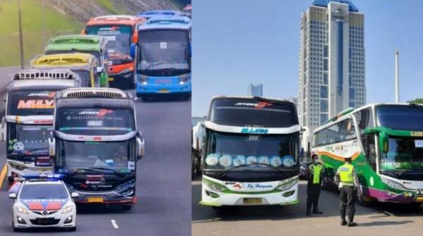 10 PO Bus Popular di Jalan, Banyak Penggemar di Medsos hingga Miliki 191.000 Fans di Facebook