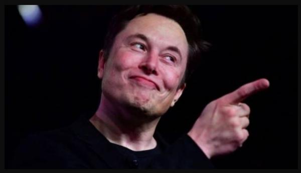 Harta Elon Musk Mendadak Rontok Rp244 Triliun setelah Berencana PHK Karyawan Tesla