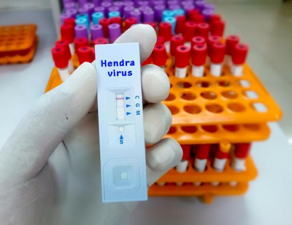 Virus Hendra Mendadak Ramai Dibahas, Benarkah Lebih Mematikan dari Corona?