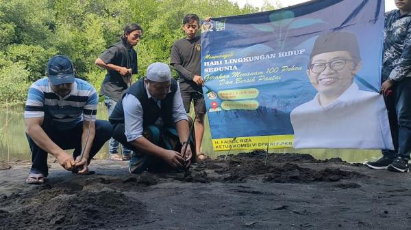 Jaga Lingkungan, Relawan Faisol Riza Tanam Mangrove di Pantai Duta