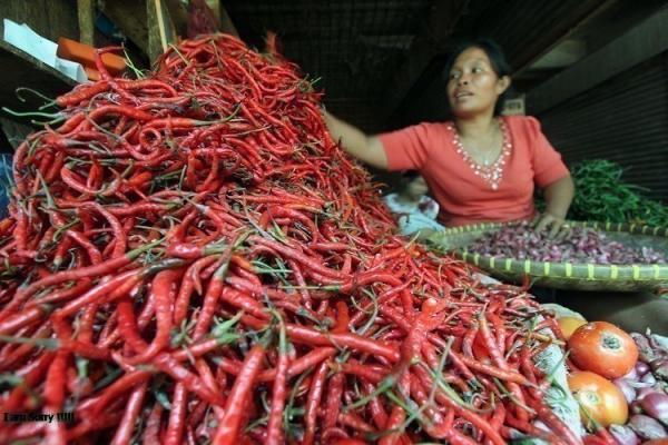 Harga Cabai Rawit Merah Makin Pedas! Tembus Rp75.000 per Kilogram