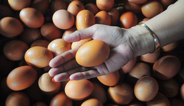 Harga Telur Capai Rp30.000 per Kg, Omzet Pedagang di Banjarnegara Turun