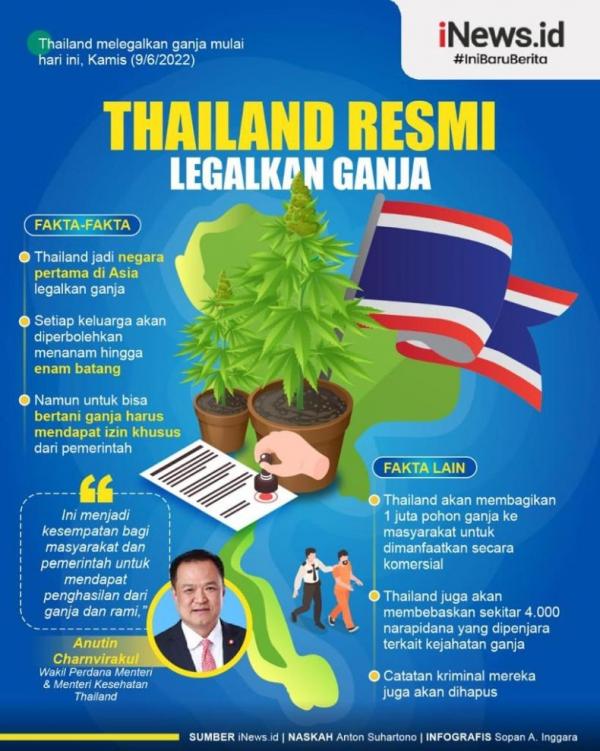 Infografis Thailand Resmi Legalkan Ganja