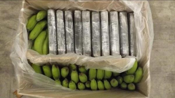 Polisi Amankan 840 Kilogram Kokain yang Diselundupkan Bersama Buah Pisang