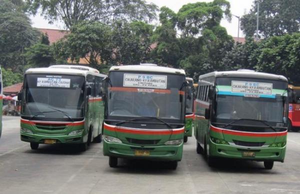 5 PO Bus Legendaris Di Jakarta, Ada Yang Berdiri Sejak Tahun 1940-an