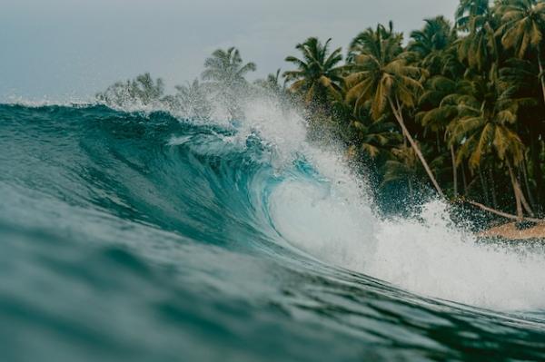 Waspada Gelombang 6 Meter di Selatan Jawa, Wisatawan Dilarang Berenang