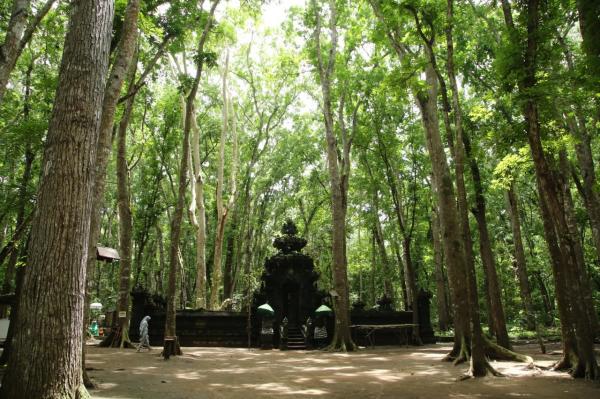 Lima Tempat Angker di Jawa Timur, Nomor 4 Jadi Lokasi Ritual Caleg