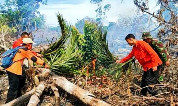 Karhutla Terjadi di Rohul, 7 Hektare Kebun Karet Terbakar