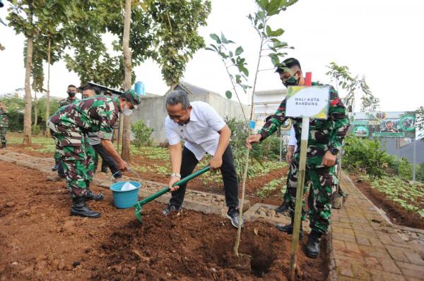 Optimalisasi RTH, Pemkot Bandung Ikut Tanam Pohon di Kawasan Bandung Raya