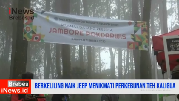 Video Menikmati Pemandangan Perkebunan Teh dengan Jeep di Kaligua Brebes