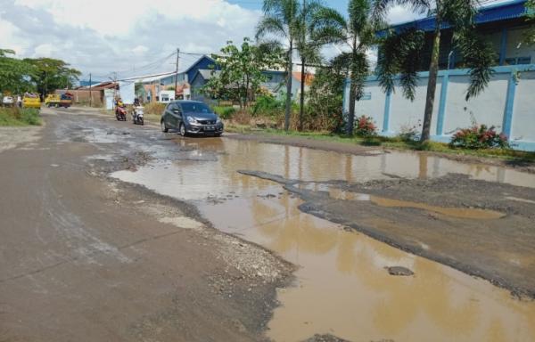 Kerusakan Jalan di Kabupaten Cirebon, Puluhan Lubang Terisi Air di Jalan Cangkring - Plered