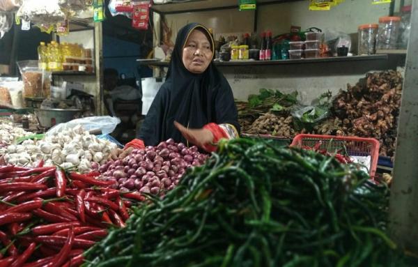 Harga Cabai Super Mahal di Pasar, AACI: Masalah Utama Tanah Kita Sedang Sakit