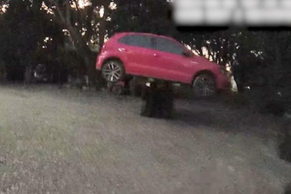 Pencuri Mobil Tertangkap Basah, Korban Angkat Mobil Beserta Pencurinya dengan Forklift