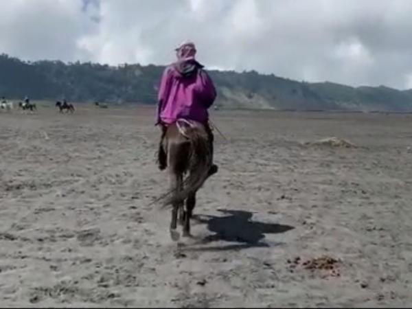 Viral Ojek Kuda Palak Wisatawan Yang Video Kudanya Berjalan