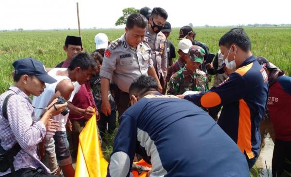 Peternak Bebek Temukan Mayat Lelaki Tanpa Identitas di Tengah Sawah Kecamatan Tirtajaya