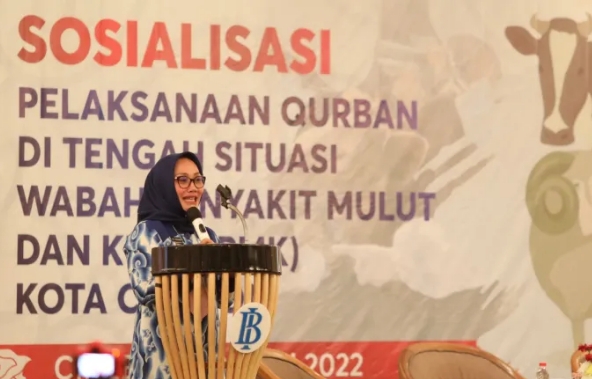 Waspadai Wabah PMK Jelang Idul Adha, Ini yang Dilakukan Pemda Kota Cirebon