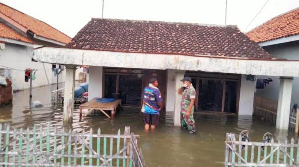 Selama 1 Dekade, 2.000  Lahan di Pesisir Brebes Rusak Diterjang Banjir Rob