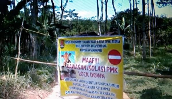 Kampung di Gunung Pati Semarang Dilockdown Akibat Puluhan Ternak Positif PMK