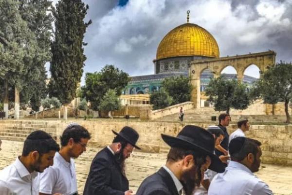 Kelompok Yahudi Gelar Ritual Sembelih Sapi Merah untuk Rebut Masjid Al Aqsa saat Idul Fitri?