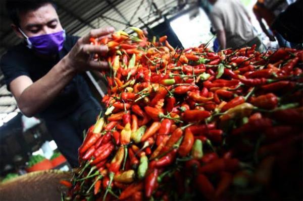 Beli Cabai Rawit Merah Rp. 5.000 Cuma Dapat 8 Biji, Emak-emak Ngeluh di Medsos