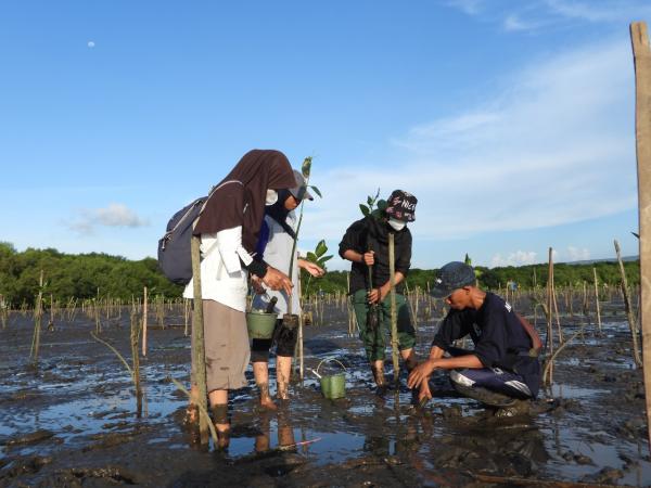 Paiton Energy-POMI Gelar Gaya Hidup Hijau dan Tanam 15.000 Bibit Mangrove