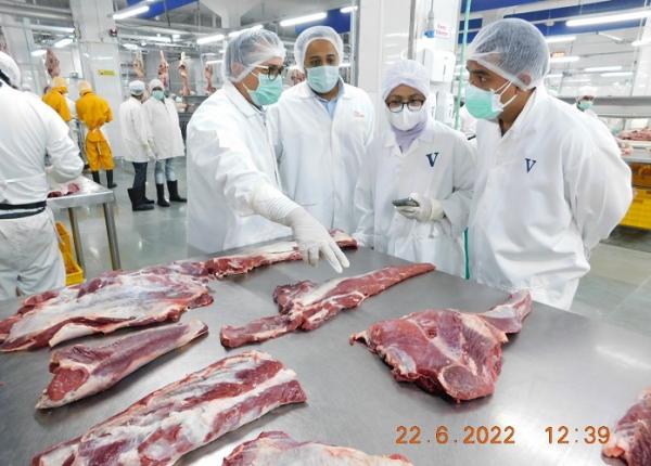 Pastikan Daging Bebas PMK, Direktur Bisnis BULOG Inspeksi ke India