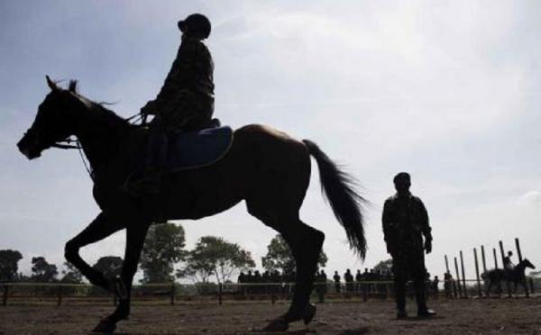 Detasemen Kavaleri Berkuda TNI AD, Terbentuk Setelah Dapat Rampasan Perang Kemerdekaan 