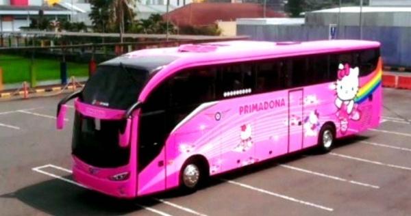4 PO Asal Sulawesi Ini Operasikan Bus Mewah, Armada Bus Jawa Kalah