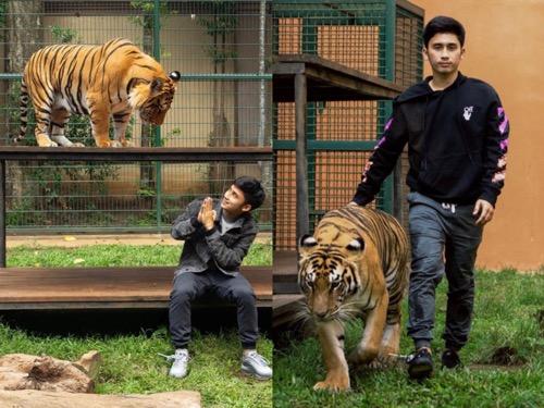 Alshad Ahmad YouTuber Piara Harimau, Ini Sumber Kekayaannya