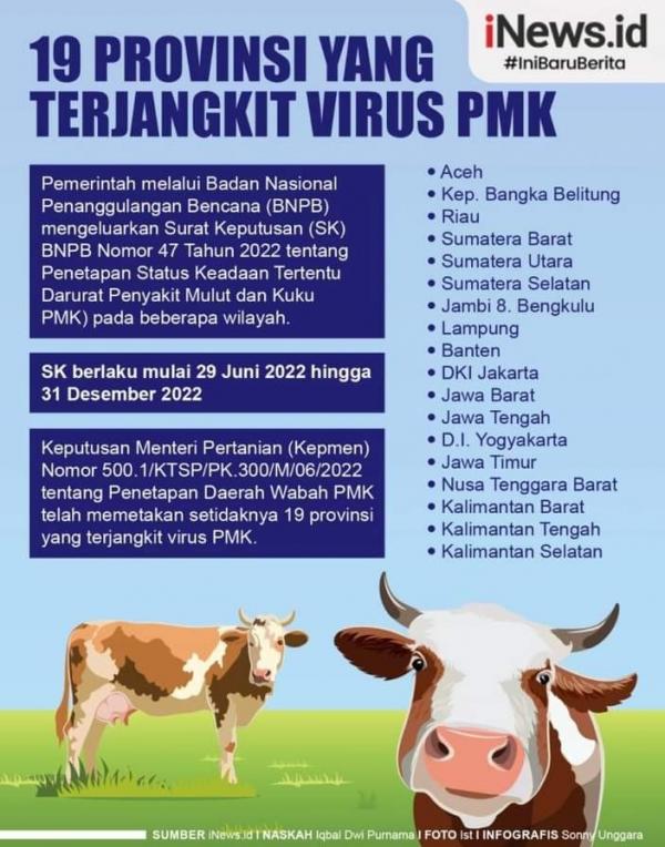 Ini Daftar 19 Provinsi yang Terjangkit Virus PMK