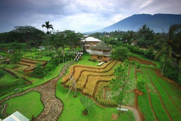3 Desa Penyandang Janda Terbanyak di Indonesia