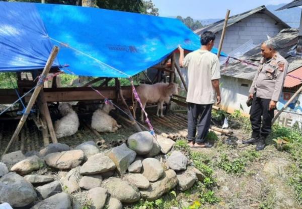 Cegah PMK, Anggota Polsek Lebak Gedong Monitoring Kandang Hewan Ternak di Beberapa Kandang