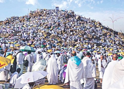 Petugas PPIH Arab Saudi Berangkat ke Arafah Malam ini, Persiapan Menjelang Idul Adha