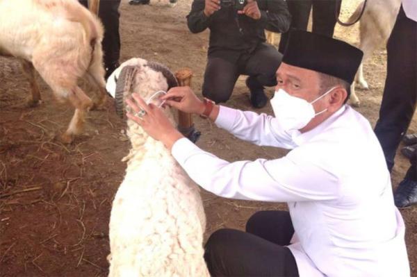 Pastikan Keamanan dan Kesehatan, Pj Bupati Dani Ramdan Tinjau Lapak Pedagang Hewan Kurban di Bekasi
