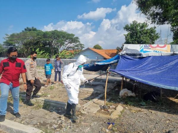 Jelang Idul Adha, Polres Tegal Kota dan Dinas Pertanian Semprotkan Disinfektan di Pasar Hewan