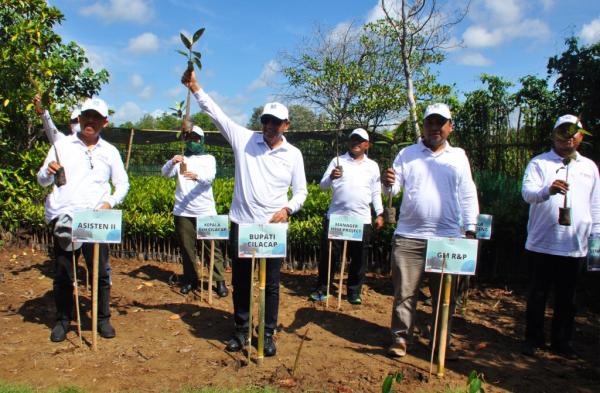 Pemkab Bersama Pertamina Kilang Cilacap Tanam 14 Ribu Mangrove