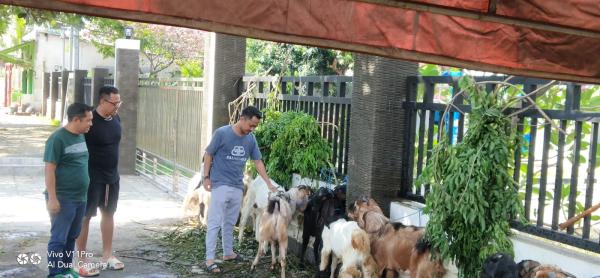 Idul Adha, Pengusaha Muda Kediri Bagikan 1 Ekor Sapi dan 12 Kambing ke Warga