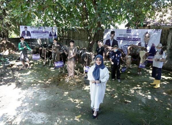 Anggota DPR RI Vera Febyanthy Berkurban 11 Ekor Sapi untuk Masyarakat di Tiga Kabupaten