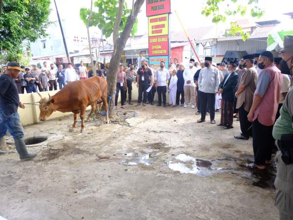 Polda Sulsel Serahkan Hewan Kurban 673 Sapi dan 23 Kambing, Kapolda: Semoga Manfaat Bagi Sesama