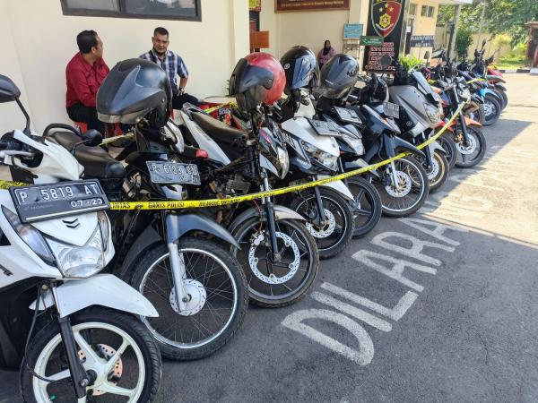 Polres Bondowoso Gerebek Judi Sabung Ayam, Motor Plat Merah Ikut Jadi BB