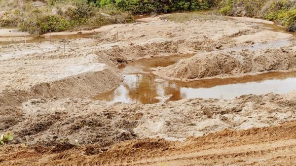 900 Hektar Lahan di Tahura Menumbing Hancur Dihajar Aktivitas Penambangan Timah Ilegal