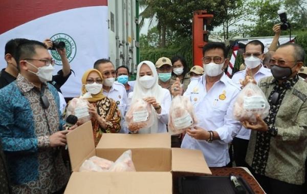 Indonesia Ekspor Perdana 50 Ton Daging Ayam Beku ke Singapura 