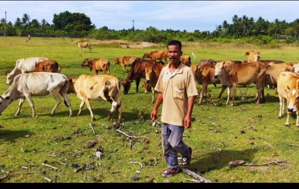 Cegah PMK, Polres Aceh Utara Rutin Pengecekan Terhadap Ternak Warga