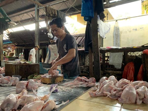 Usai Idul Adha, Harga Daging Ayam di Medan Merosot