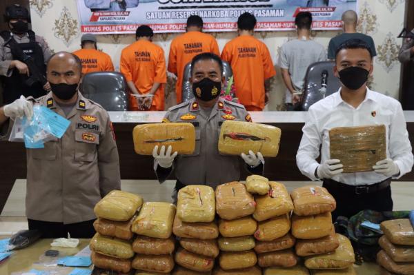 Operasi Antik Singgalang, Polres Pasaman Berhasil Bekuk Jaringan Narkotika Antar Provinsi