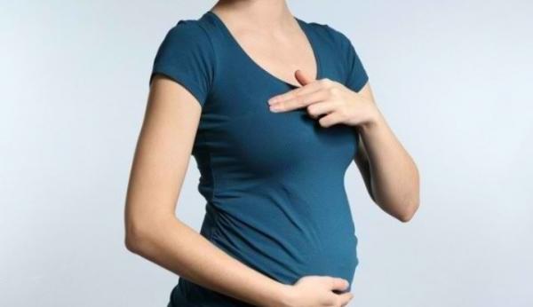 Mitos Makan Nanas Bisa Gugurkan Kehamilan, Ini Kata Pakar Biologi UNY