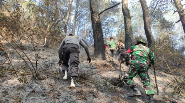 Kebakaran Lahan di Tapanuli Utara, 1 Orang Warga Meninggal 