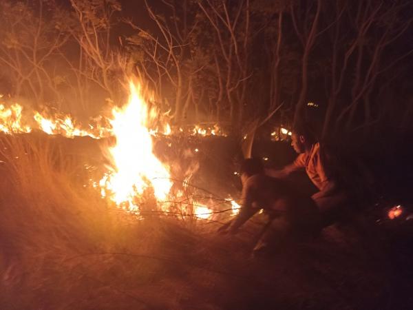 Ribuan Hektar Sabana di Nagekeo Terbakar, Warga Panik