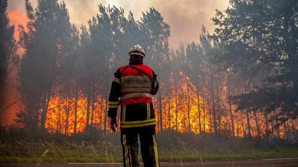 Gelombang Panas Ekstrem! Ribuan Orang Dievakuasi saat Kebakaran Hutan Mediterania Meluas