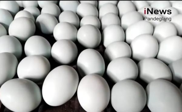 4 Jenis Telur yang Mengandung Kolesterol Tinggi
